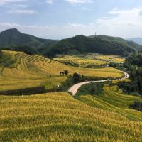 評論圖片 5
