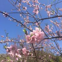 評論圖片 6