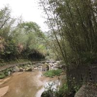 評論圖片 8