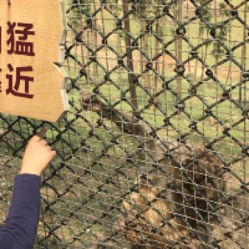 評論圖片 3