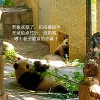 評論圖片 5