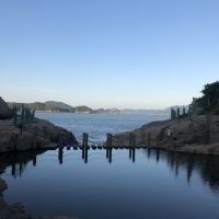評論圖片 3