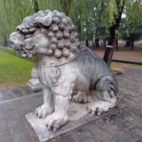 評論圖片 3