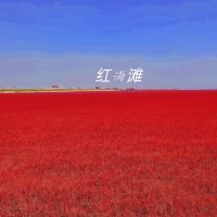 評論圖片 6