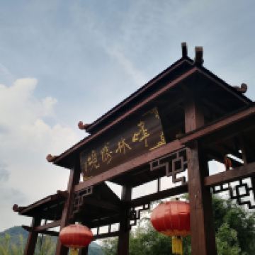 評論圖片 5