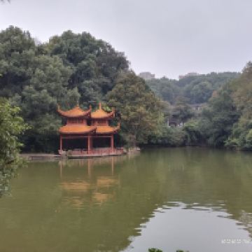 評論圖片 8
