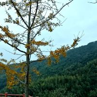 評論圖片 5