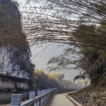 評論圖片 8