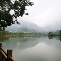 評論圖片 2