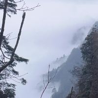 評論圖片 3