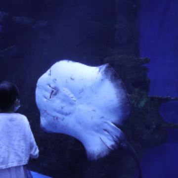 評論圖片 1