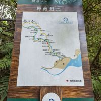 評論圖片 1