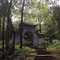 評論圖片 5