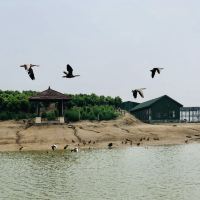 評論圖片 3