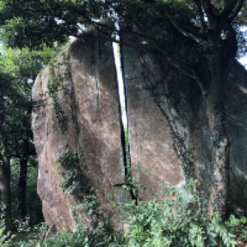 評論圖片 3