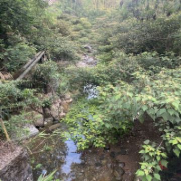 評論圖片 1