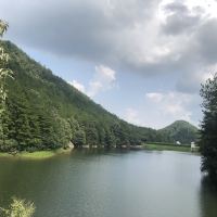 評論圖片 6