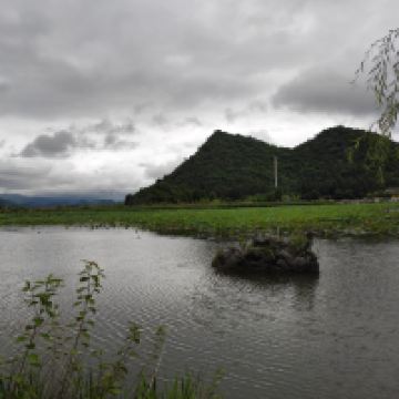 評論圖片 6