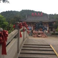 評論圖片 5