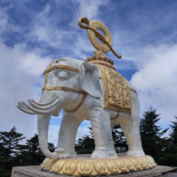 評論圖片 1