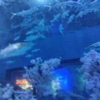 評論圖片 1