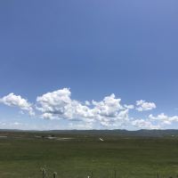 評論圖片 3