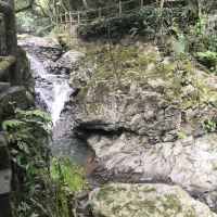評論圖片 4