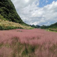 評論圖片 2