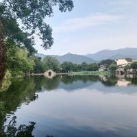 評論圖片 8