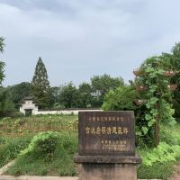 評論圖片 6