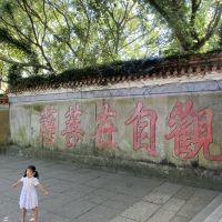 評論圖片 1