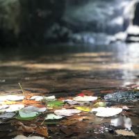評論圖片 4