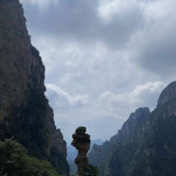 評論圖片 6
