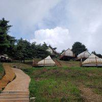 評論圖片 2
