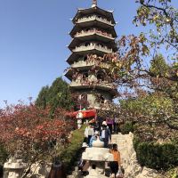 評論圖片 1