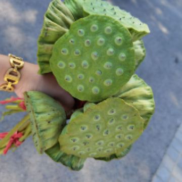 評論圖片 5