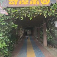評論圖片 4