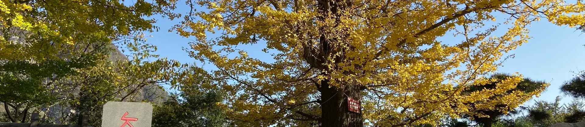 Fall Viewing Attractions