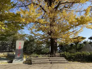 Tianzhu Mountain
