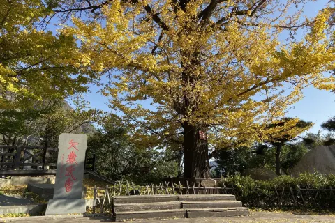 Tianzhu Mountain