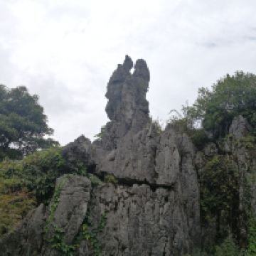 評論圖片 3