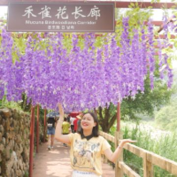 評論圖片 7