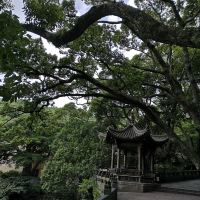 評論圖片 7