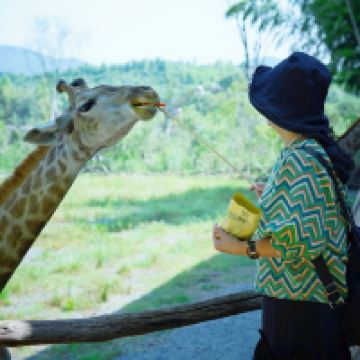 評論圖片 1
