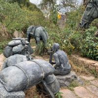 評論圖片 4