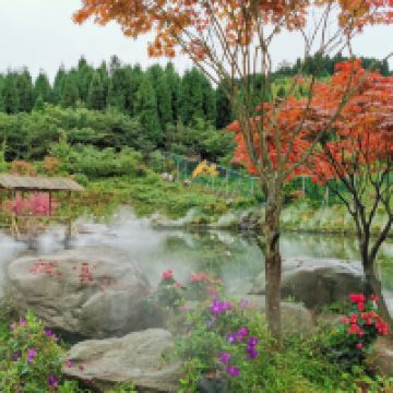 評論圖片 2