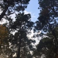 評論圖片 6