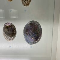 評論圖片 3