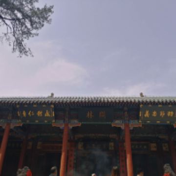 評論圖片 1