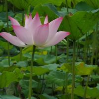 評論圖片 8